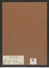 Pleurodesmium brebissonii Kuetz. (de-Toni-Nr.: Genus 131, Species 3591) Zeichnungen Sammlung Grunow Mappe 03750 (Herbarium_W_Grunow_drawings_Folder_03750)